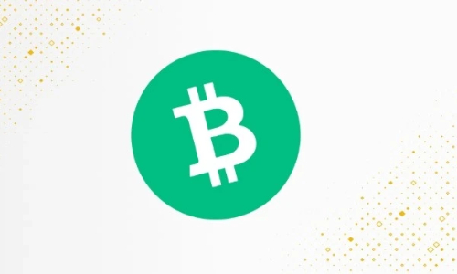 什么是比特现金（BCH）？主打大区块支付，与BTC有何区别？