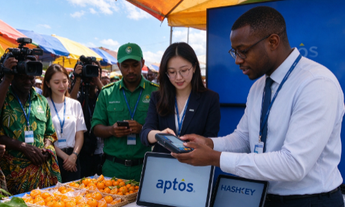Aptos和HashKey将稳定币支付带入非洲