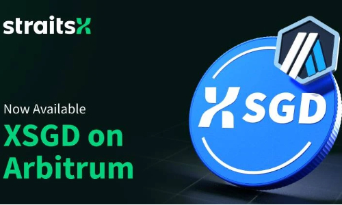 什么是StraitsX USD(XUSD)?XUSD如何运作的?XUSD详细介绍