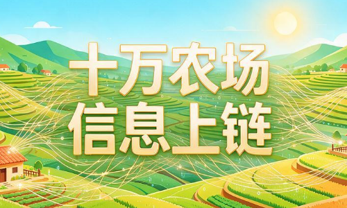 卡尔达诺落地真实世界应用，印度十万农场信息上链