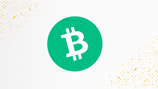 什么是比特现金(BCH)?主打大区块支付,与BTC有何区别?