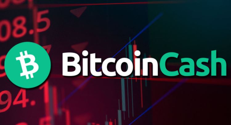 什么是比特现金(BCH)?主打大区块支付,与BTC有何区别?