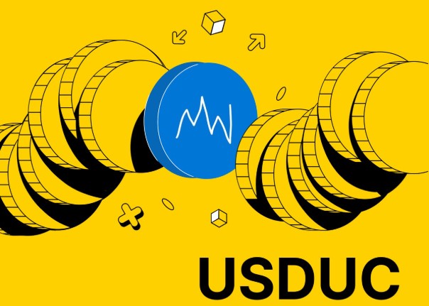 什么是不稳定币 (USDUC) ?运作机制、USDUC代币功能介绍