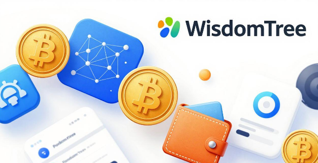 是什么将推动加密货币价格?WisdomTree谈采用和收入的作用