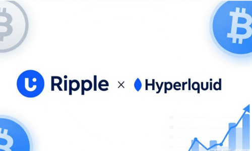 瑞波与Hyperliquid获投资者青睐，其余币种表现承压