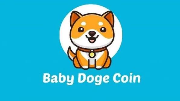 什么是Baby Doge Coin(BabyDoge)币?是好的投资吗?Baby Doge技术架构和价值分析