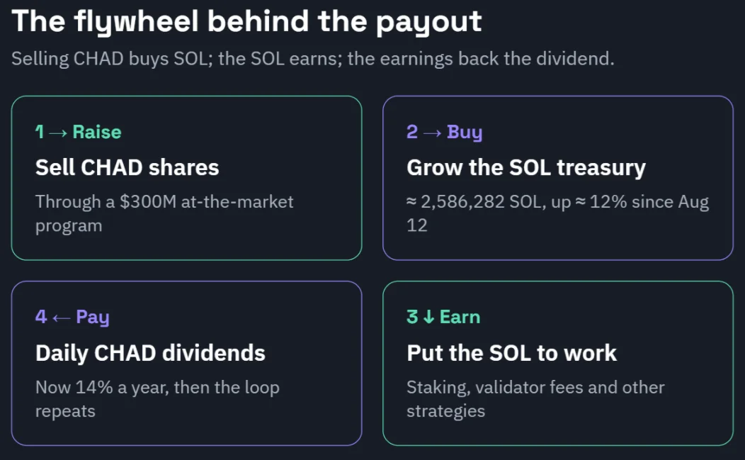 DeFi Development将CHAD股息提高至14%，以资助更多Solana买入