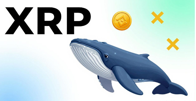 XRP巨鲸正在向币安发送更多代币