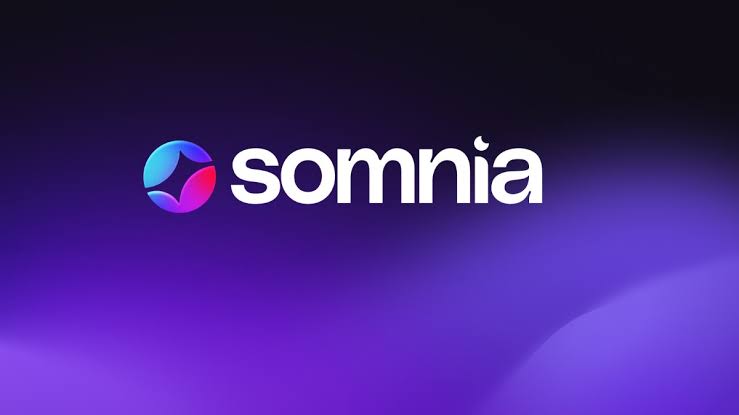 什么是Somnia (SOMI币)?工作原理、代币经济学介绍