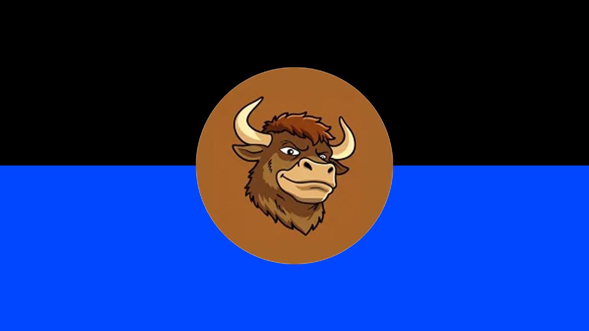 什么是Bull (BULLSOL)迷因币？特点、代币经济学介绍