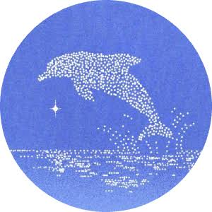 什么是 Dolphin (POD)币？运作方式、代币经济学介绍