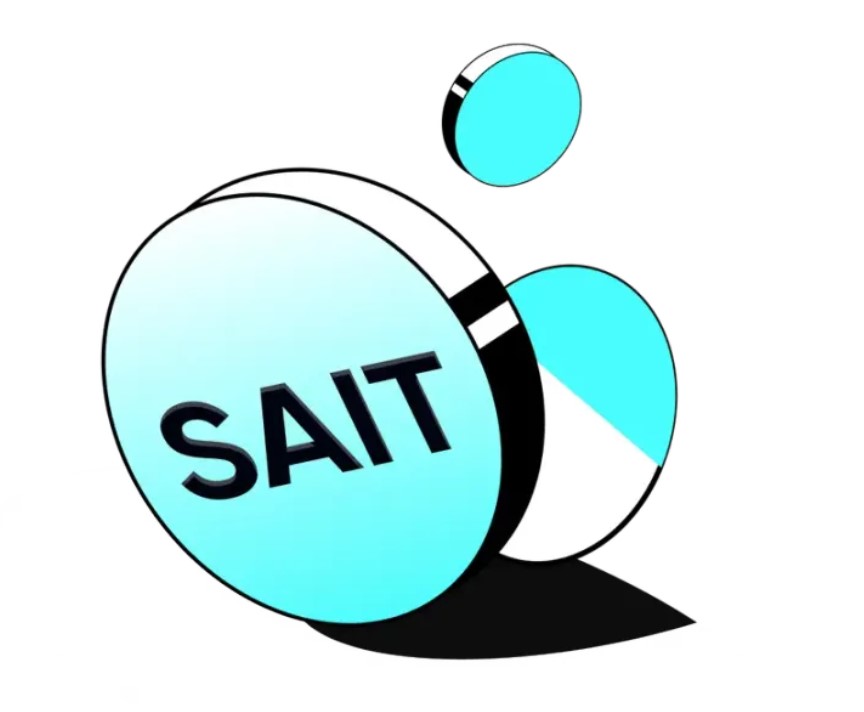 什么是Smart AI (SAIT)币?SAIT代币经济学