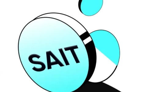 什么是Smart AI （SAIT）币？SAIT代币经济学