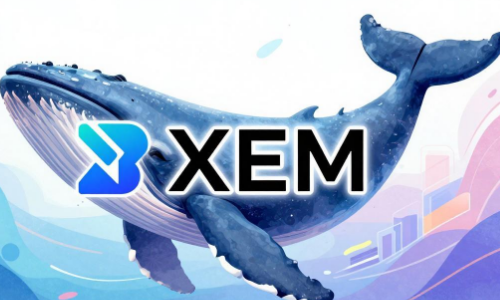 XEM大涨13.01%，巨鲸持续吸筹