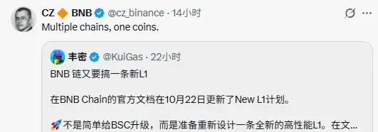 不发新币、主打低延迟，BNB Chain 为何要再造一条 L1？