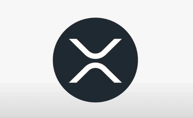 什么是XRP币？XRP运作原理、用途、优势及风险