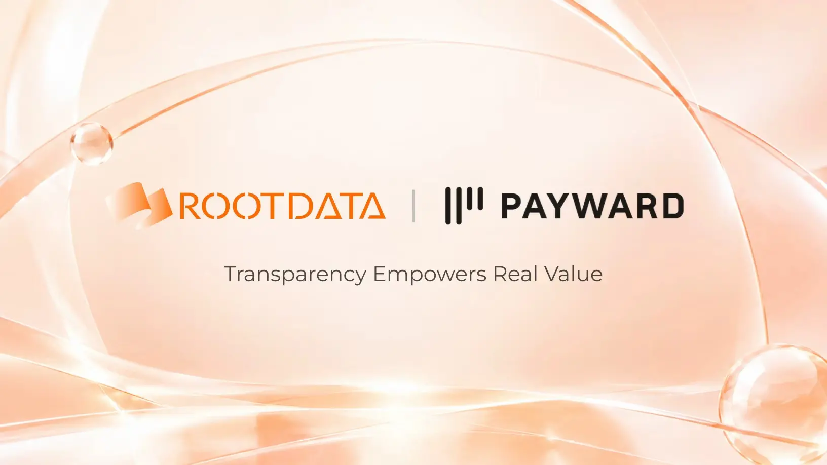 从 Binance Alpha 到 Payward：RootData 已成为更多机构信赖的代币化资产数据层